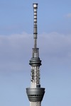 63313462.jpg