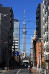 9814c022.jpg