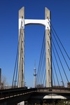 b3d26e19.jpg