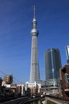 32084d0a.jpg