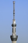 c4119bcd.jpg