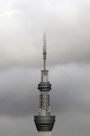 83277e54.jpg