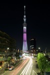 931d8225.jpg
