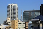 5c438a94.jpg
