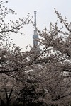 6c9aa4a3.jpg