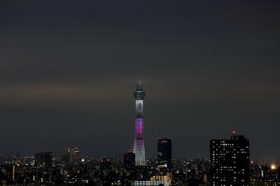 df22c827.jpg