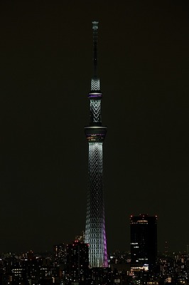 e040a12b.jpg
