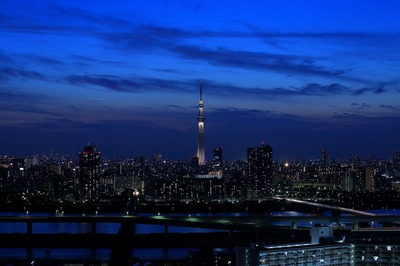 00ed2a61.jpg