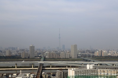 e0b01685.jpg