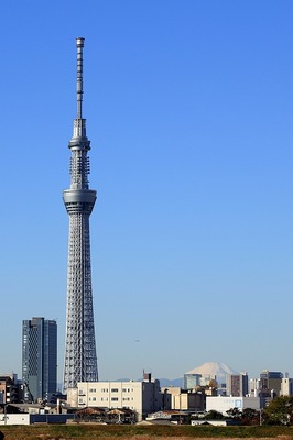 496be436.jpg