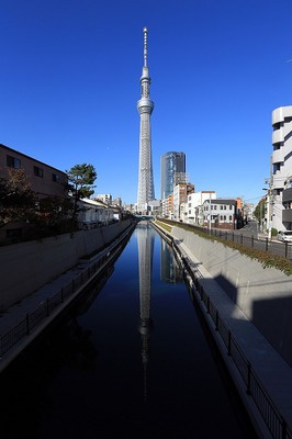 82a35d46.jpg