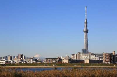 421cf6d7.jpg