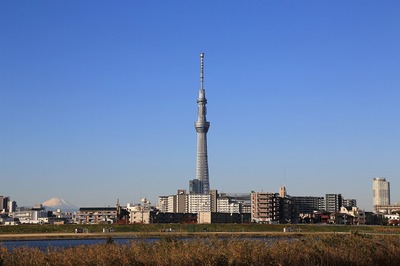 2a84b86c.jpg