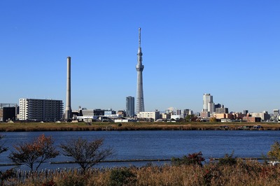 2984c080.jpg
