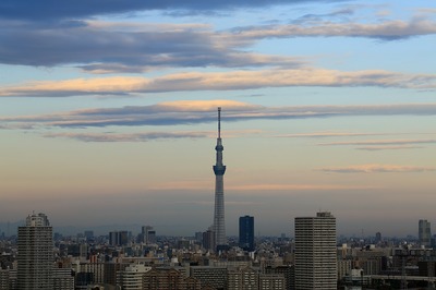 cf820a9f.jpg