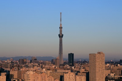 f958331a.jpg