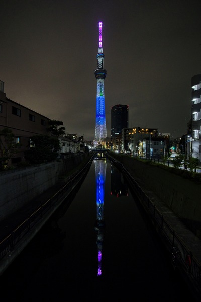 毛利蘭をイメージした特別ライティング