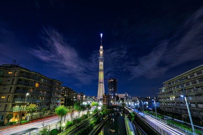 ピカチュウ10まんボルトの奇跡!?