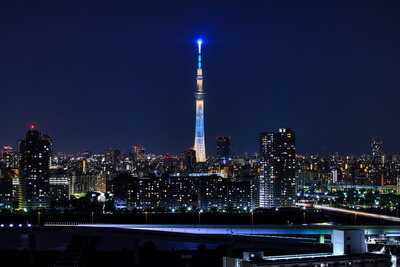 東京スカイツリー夜景「粋」