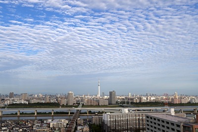 うろこ雲と東京スカイツリー