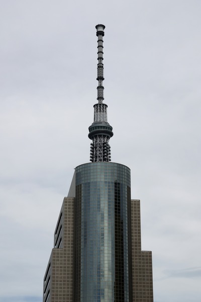 墨田区役所と合体した東京スカイツリー