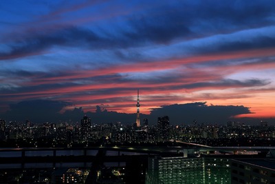 東京スカイツリー夕景