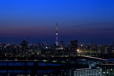 東京スカイツリー夜景「舞」