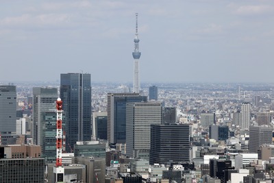 東京タワーから見た東京スカイツリー