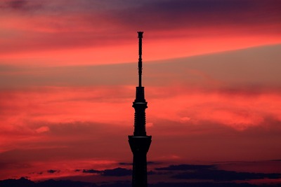 東京スカイツリー夕景