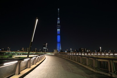 桜橋から見た東京スカイツリー