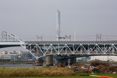 葛西臨海公園から見た東京スカイツリー