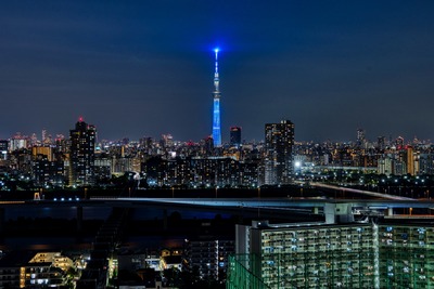 世界水泳カラーの特別ライティング