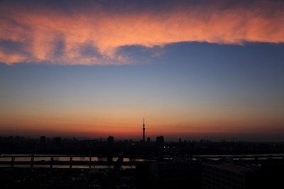 東京スカイツリー夕景