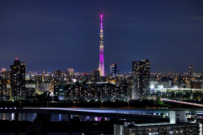 東京スカイツリー夜景「雅」