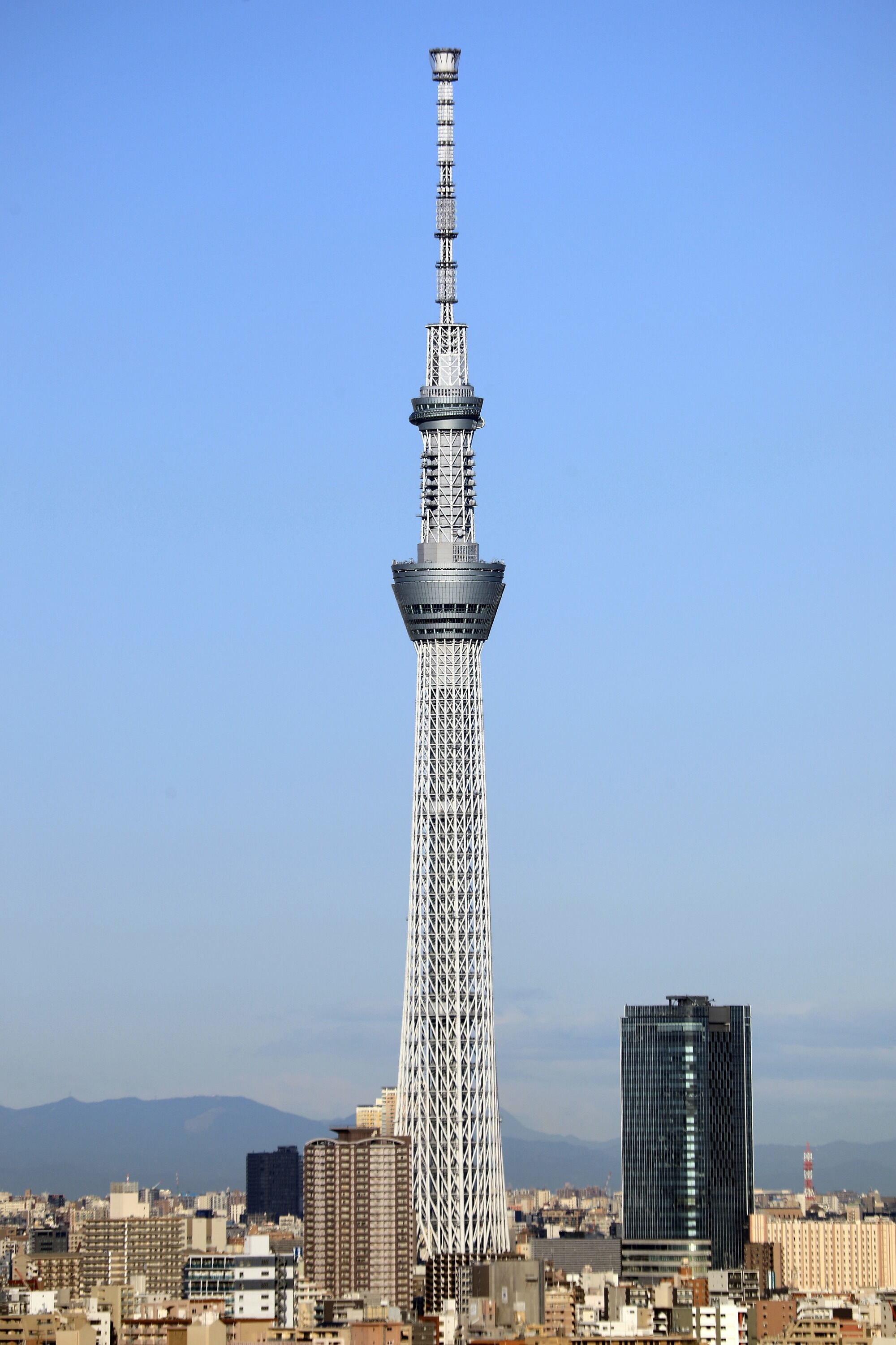 東京 スカイ ツリー 学校団体予約 東京 スカイ ツリー 学校団体予約