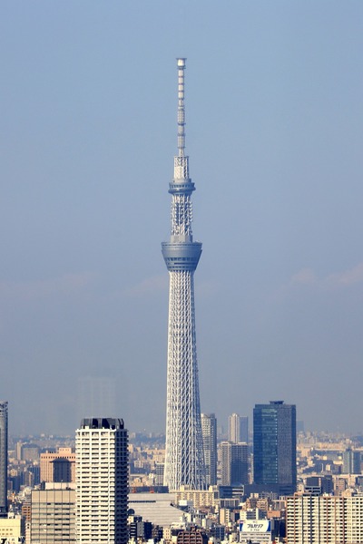 世界貿易センタービルから見た東京スカイツリー