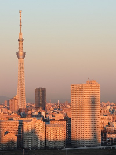 東京スカイツリーとタワーホール船堀の影