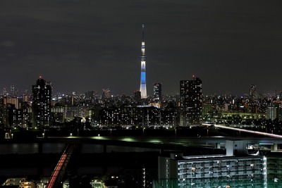 東京スカイツリー夜景「粋」
