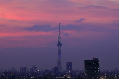 東京スカイツリー夕景