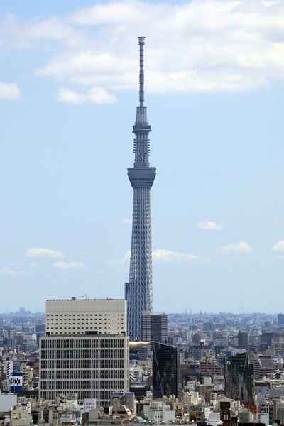 文京シビックセンターから見た東京スカイツリー
