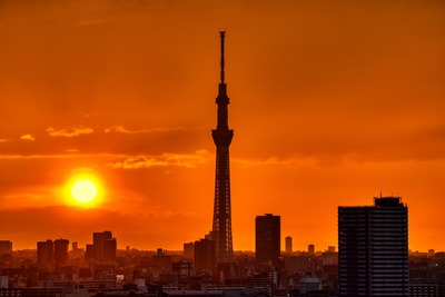 東京スカイツリー夕景
