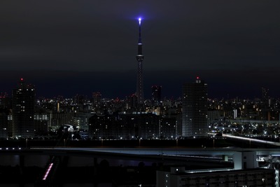 深夜の誕生石ライティング「タンザナイト」ライトパープル