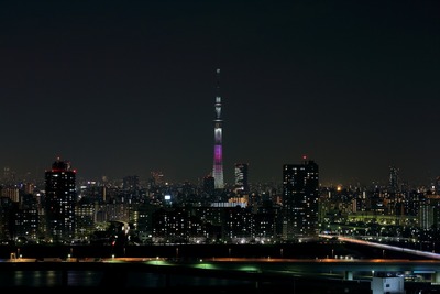 東京スカイツリー桜特別ライティング「舞」