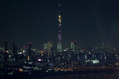 葛西臨海公園の観覧車から見た東京スカイツリー夜景