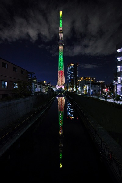 クリスマス特別ライティング「オーナメントツリー」