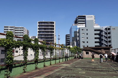 旧下谷小学校の屋上から見た東京スカイツリー