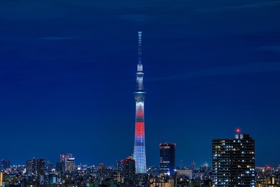 ラグビーワールドカップ2019 日本大会特別ライティング