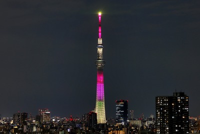 東京スカイツリー夜景「ハイビスカス」
