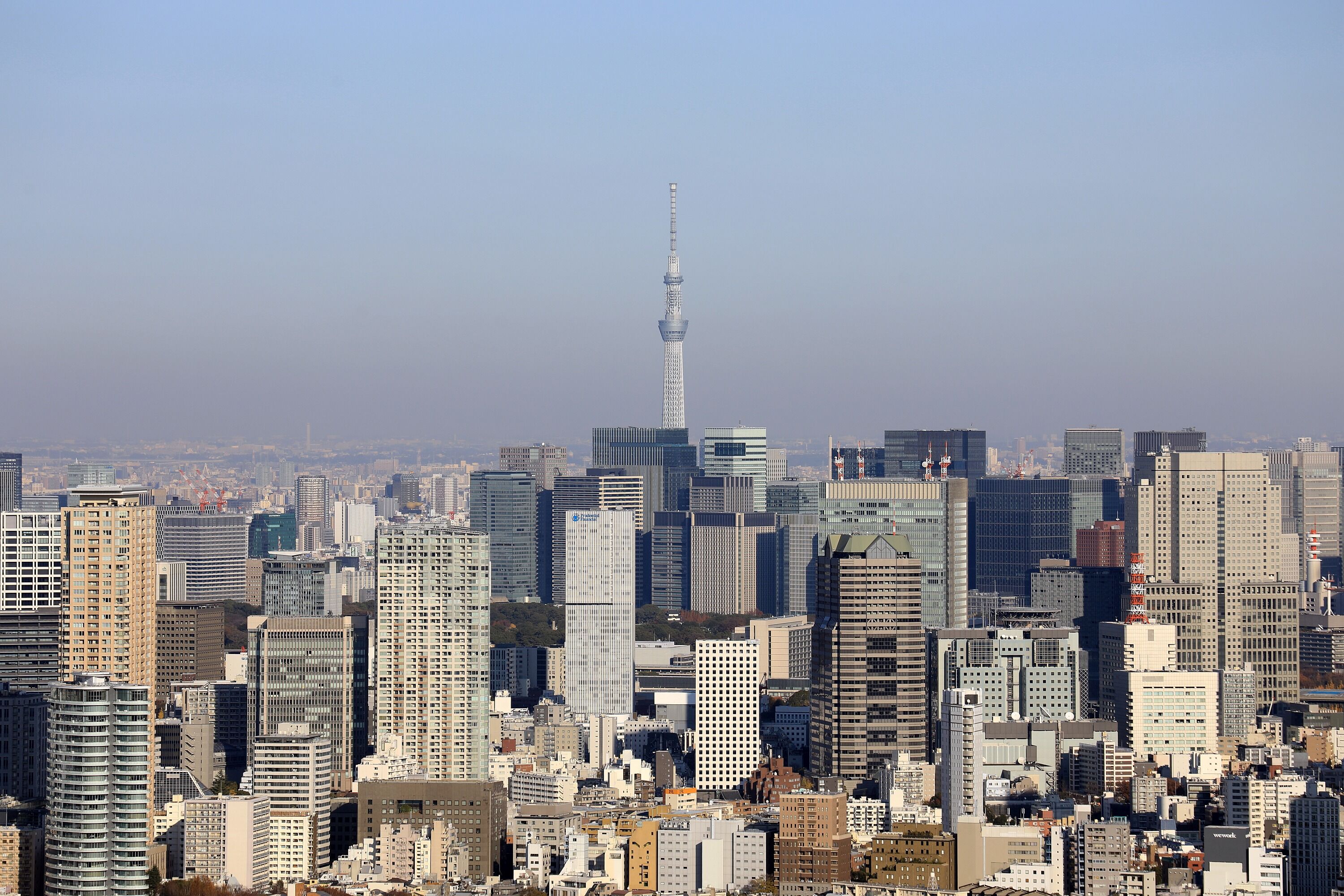 渋谷スカイから見た東京スカイツリー 19年12月14日 東京スカイツリー定点観測所