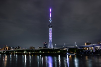 灰原哀をイメージした特別ライティング